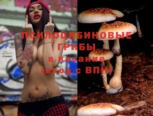 а пвп мука Армянск