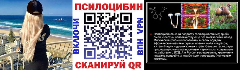 Купить где  Ступино  Галлюциногенные грибы прущие грибы 